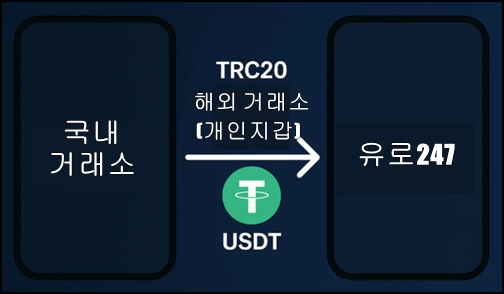4 유로247 BTI 해외 스포츠 소개