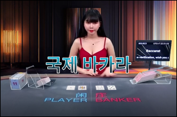 유로247 motivation casino 런칭