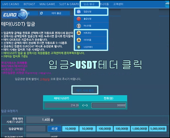 6 유로247 테더 입금 방법